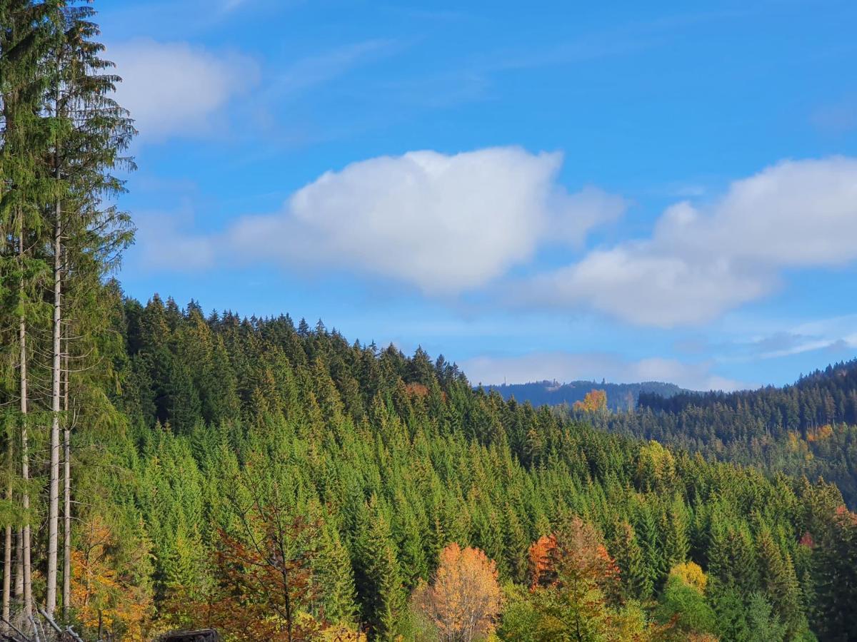 Ferienhaeuser & Bungalows - Naturcamp Meyersgrund Im Thueringer Wald الميناو المظهر الخارجي الصورة