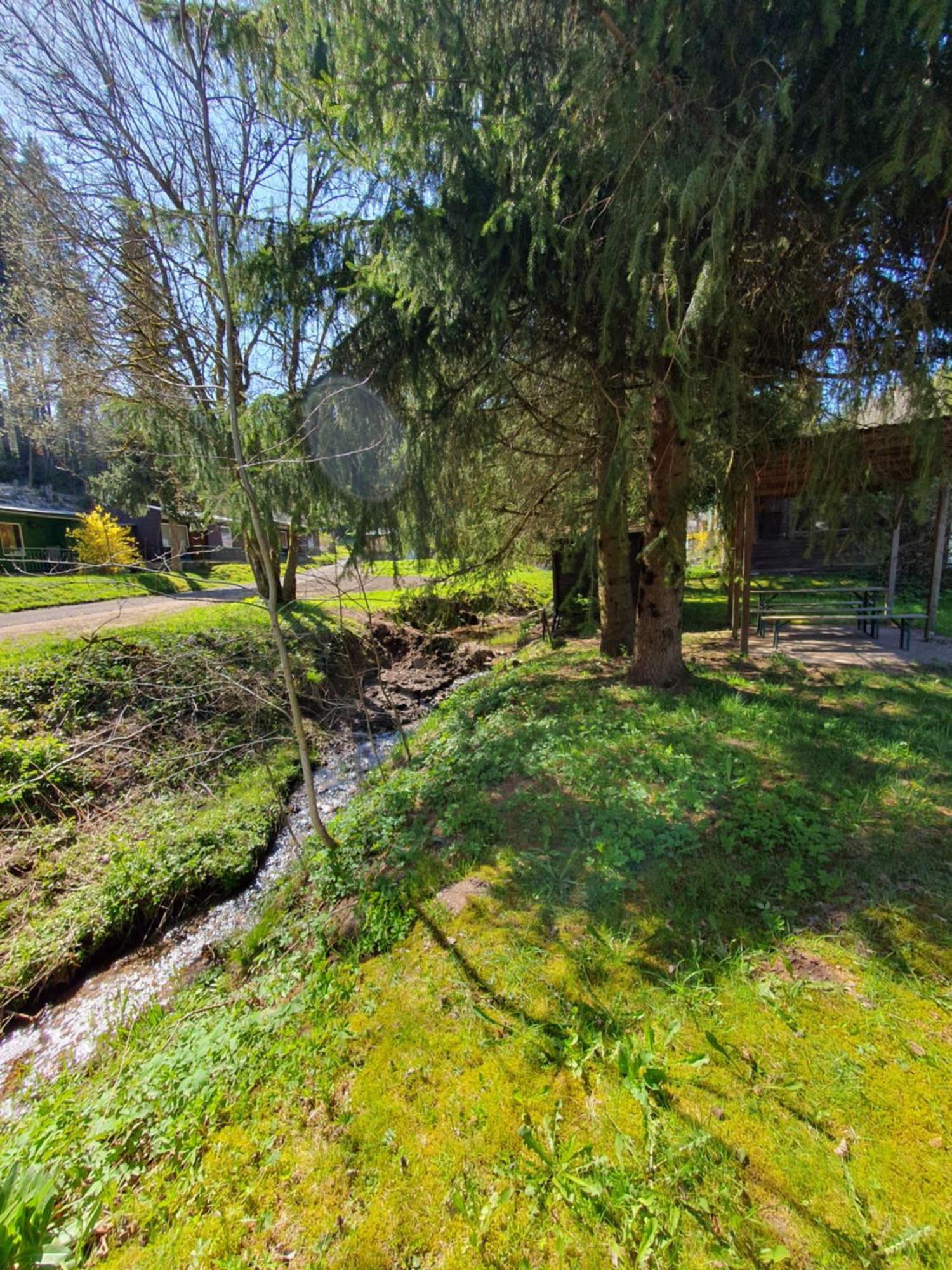 Ferienhaeuser & Bungalows - Naturcamp Meyersgrund Im Thueringer Wald الميناو المظهر الخارجي الصورة